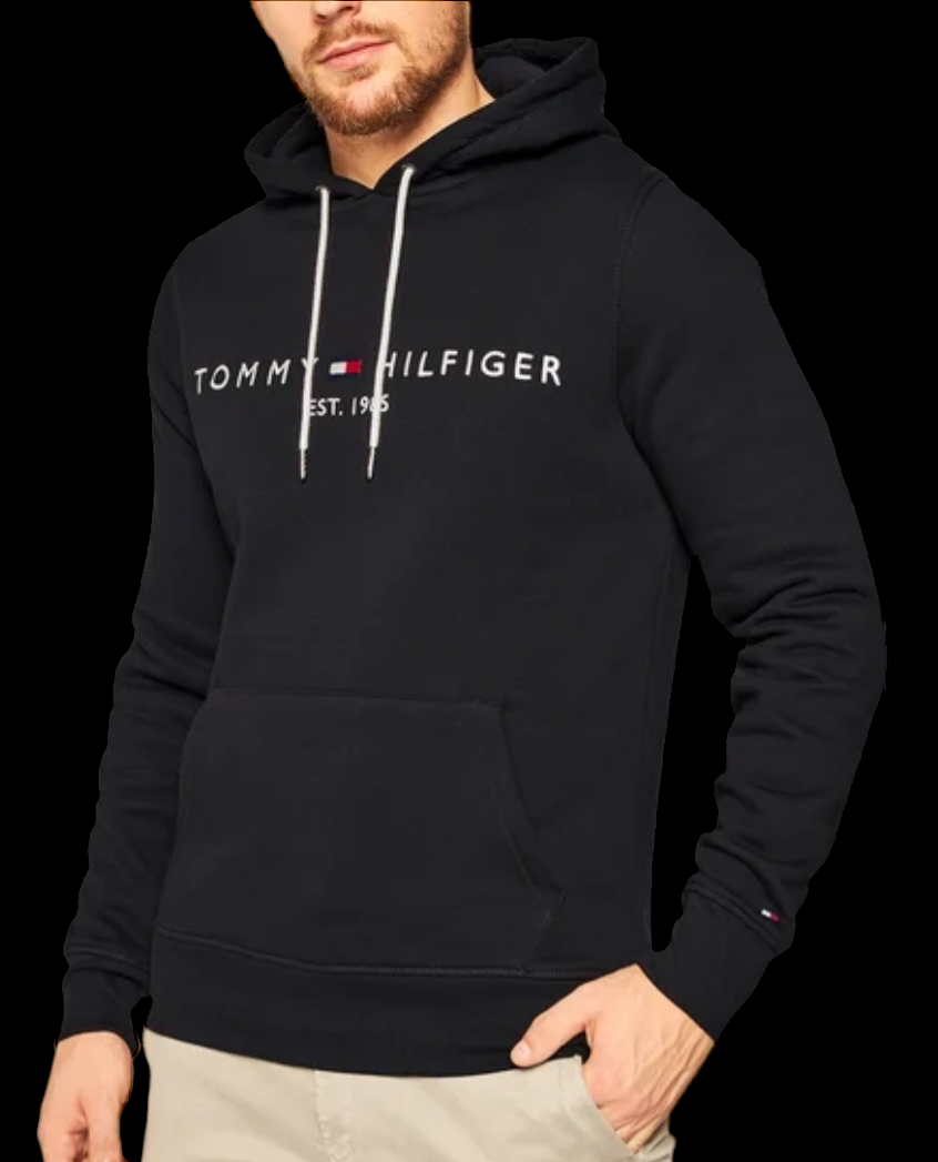 Felpa con cappuccio tommy hilfiger cheap